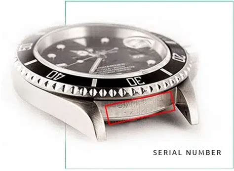 rolex datejust m092117|rolex serial number lookup 2022.